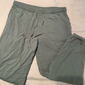 American Eagle Outfitters Light Sage Green Drawstring Joggers